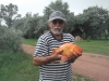 Erdei István